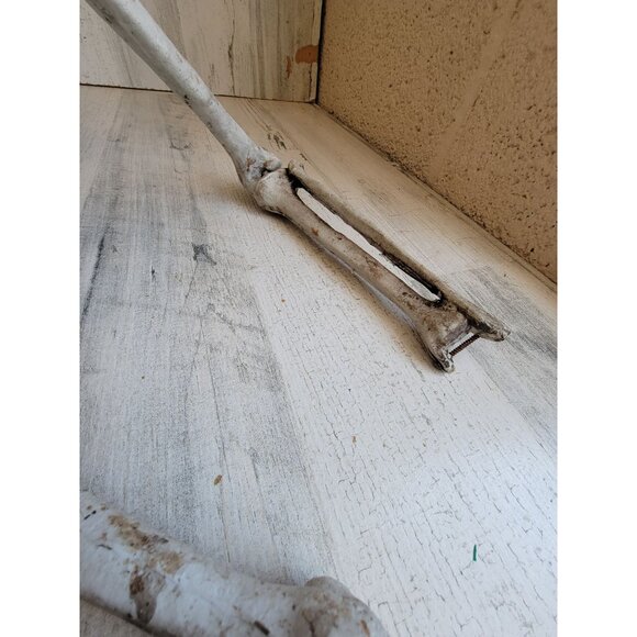 Skeleton AS IS jointed hanging Halloween home decor prop scary - Picture 15 of 15